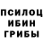 Псилоцибиновые грибы GOLDEN TEACHER Robert Quinones
