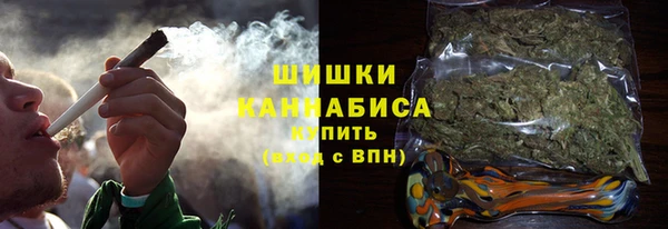 гидра Арсеньев