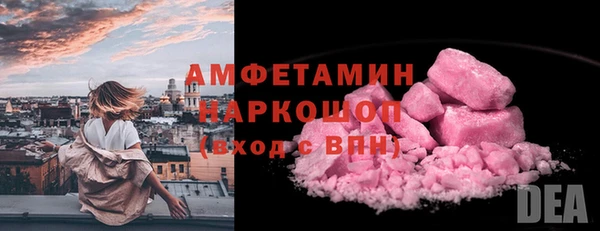 гидра Арсеньев