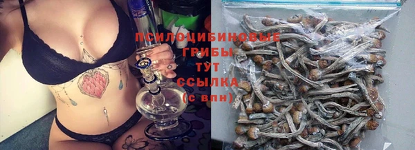 гидра Арсеньев