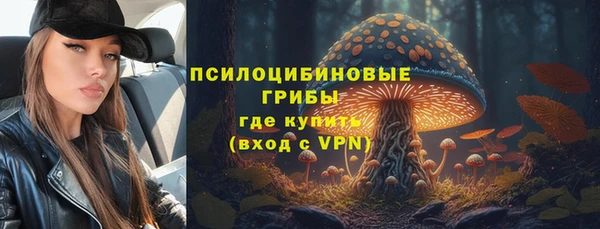 гидра Арсеньев