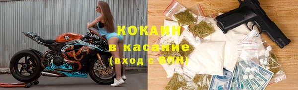 гидра Арсеньев