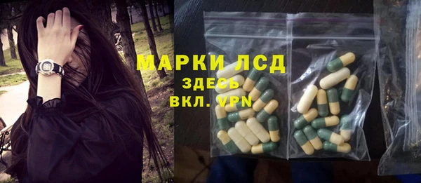 гидра Арсеньев