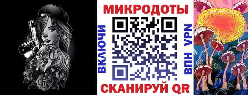 Псилоцибиновые грибы Psilocybe  Сельцо 